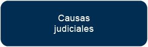 Causas Judiciales
